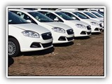 Elif Rent A Car (3)