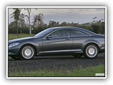 Elif Rent A Car (50)