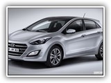 Elif Rent A Car (94)